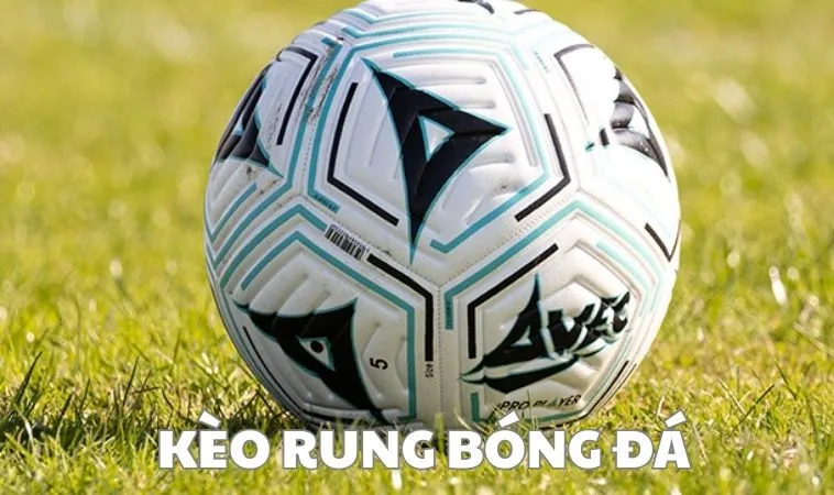 kèo rung