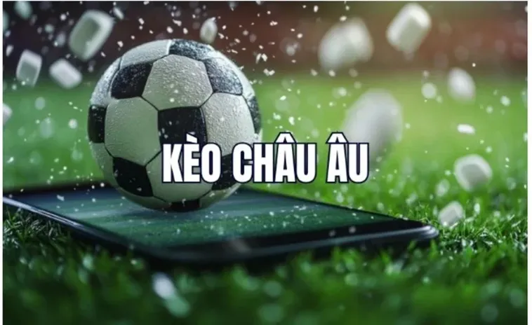 Nền tảng cung cấp đa dạng loại kèo từ kèo châu Á, kèo châu Âu, kèo tài xỉu đến các kèo đặc biệt như tổng số góc phạt, số thẻ vàng thẻ đỏ.